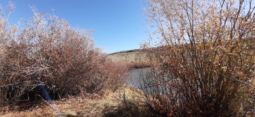 Fall Trip to the Steens&nbsp;Mountains