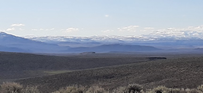 Horses, Hooves, and&nbsp;George