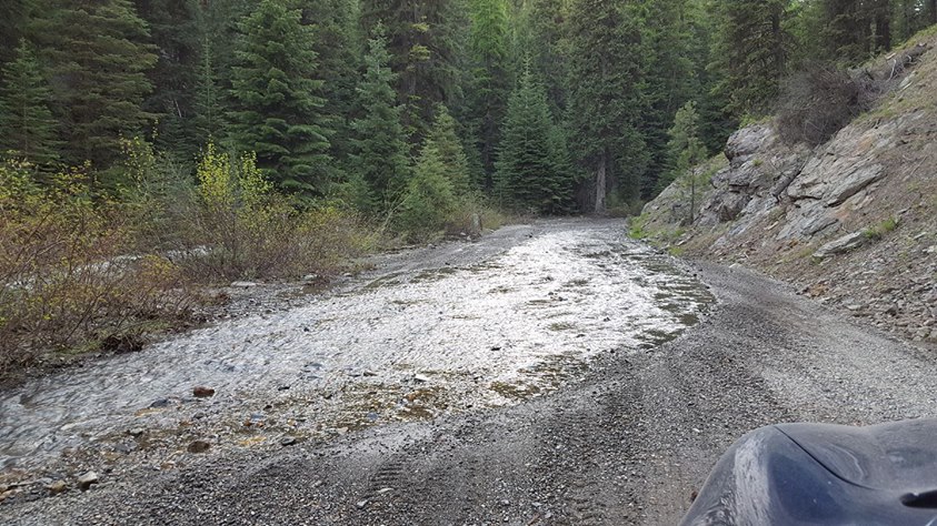 Getting Ready for Sumpter&nbsp;Flea!