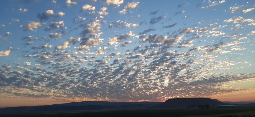 Writing What I Don’t&nbsp;Know