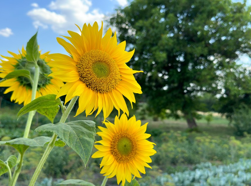 An Anthology, a New Release, and How to Stay&nbsp;Informed