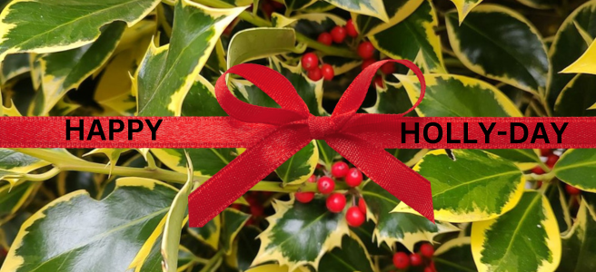 My Fun Filled&nbsp;Year