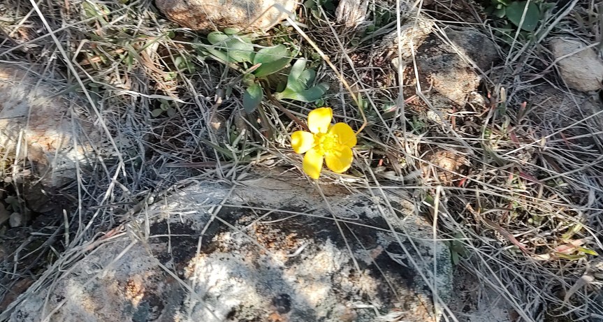 Great Deals and Fun&nbsp;Times